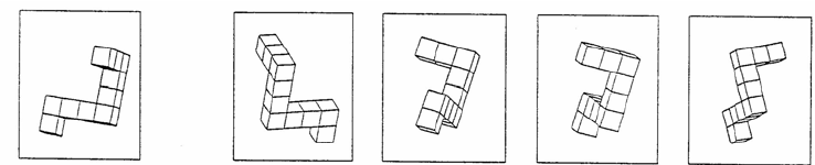 shapes